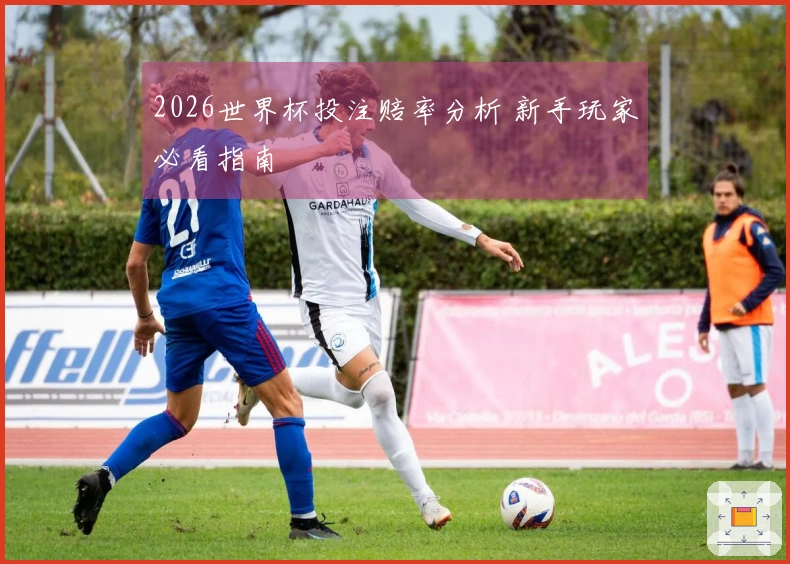 2026世界杯投注赔率分析 新手玩家必看指南