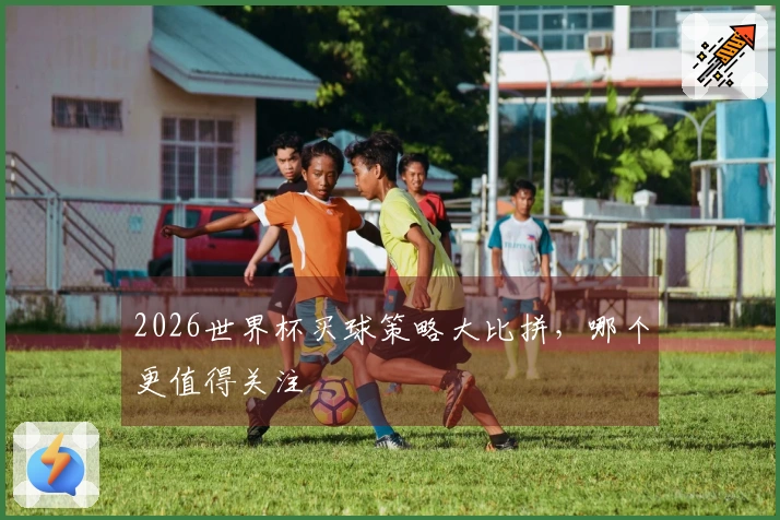 2026世界杯买球策略大比拼，哪个更值得关注