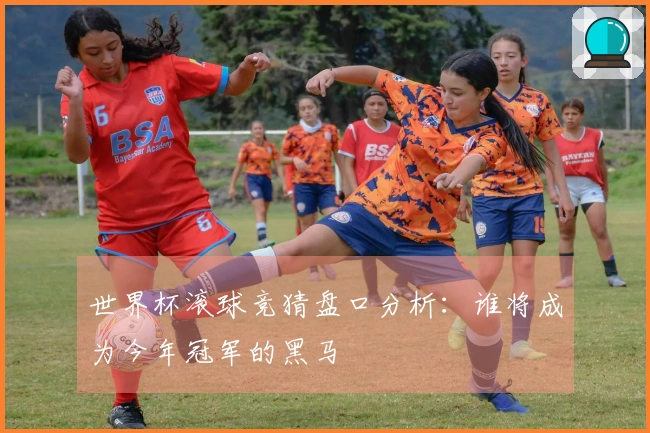 世界杯滚球竞猜盘口分析：谁将成为今年冠军的黑马